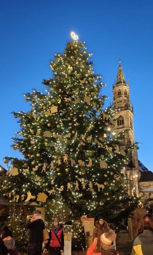 Christkindlmarkt am Waltherplatz