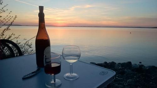 ... und eine gute Flasche Wein auch!