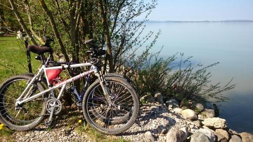 Die Radl sind immer dabei