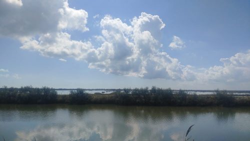 Saline di Comacchio