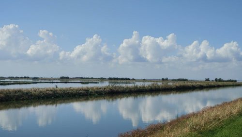 Saline di Comacchio